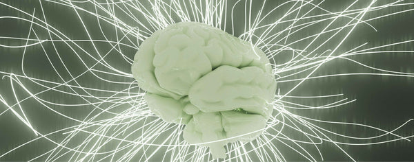 Podcast aflevering 22: Taboes rond mentale gezondheid doorbreken met Jef Willem - Insentials