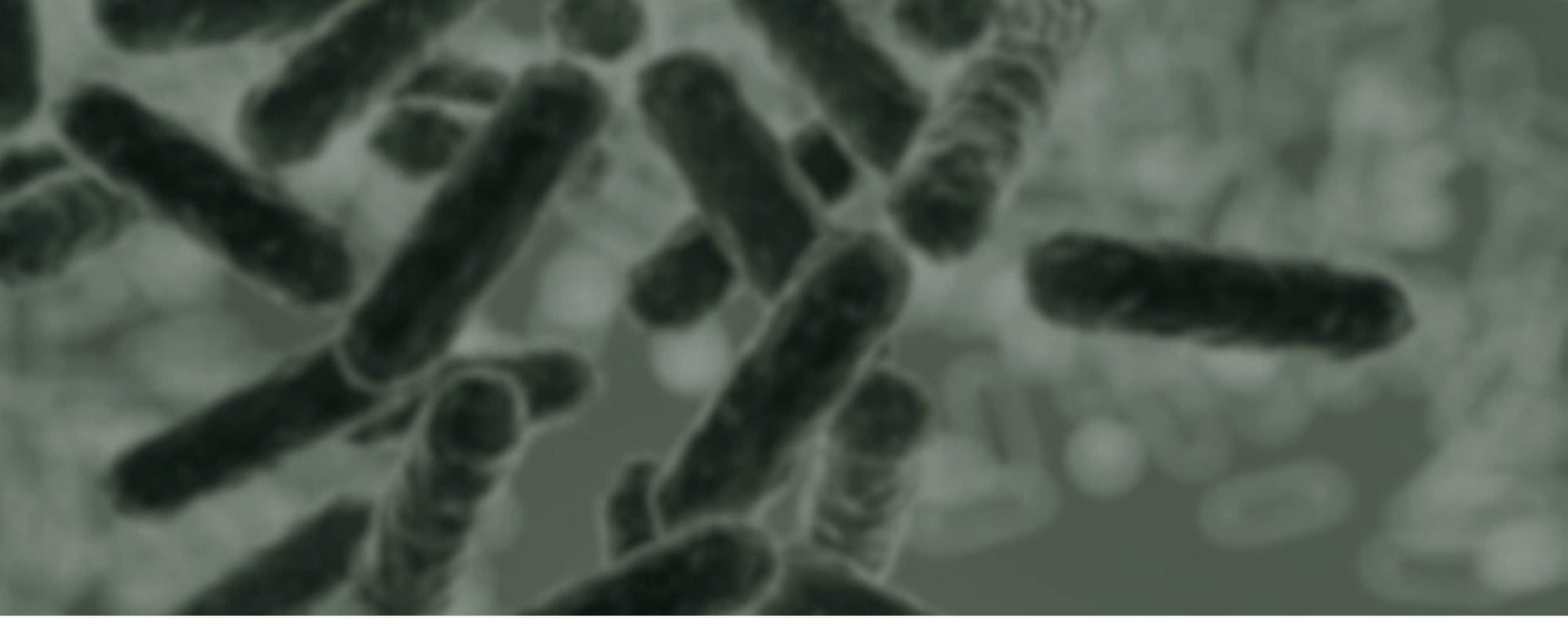 Gut Brain Axis: masterclass met Dr. Chris van der Linden. - Insentials