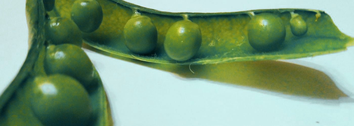 Gezond eten made easy: concrete tips - Insentials