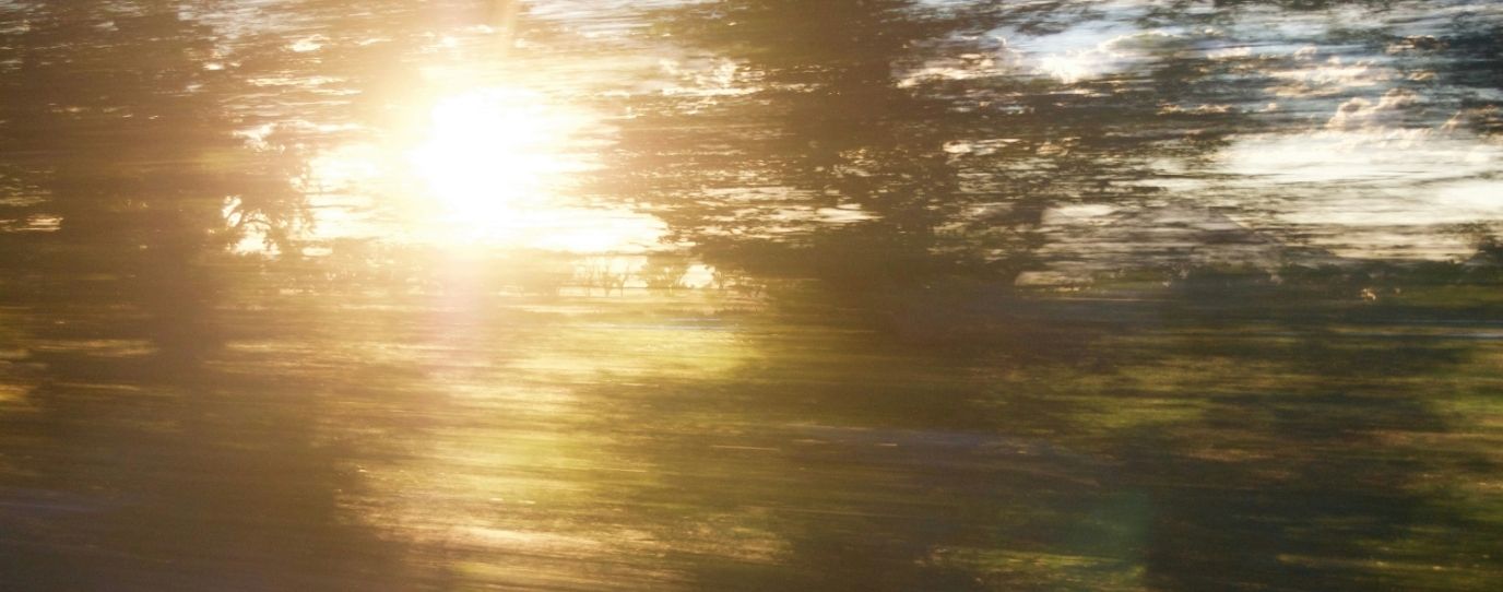 Aflevering 12 met Evi Hanssen: De tweede helft van mijn leven - Insentials