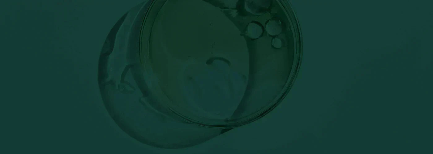 praten mentale gezondheid ouders jongeren sarah bal insentials