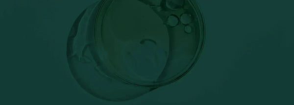 hooggevoelig of overprikkeld podcast laura antonacci insentials