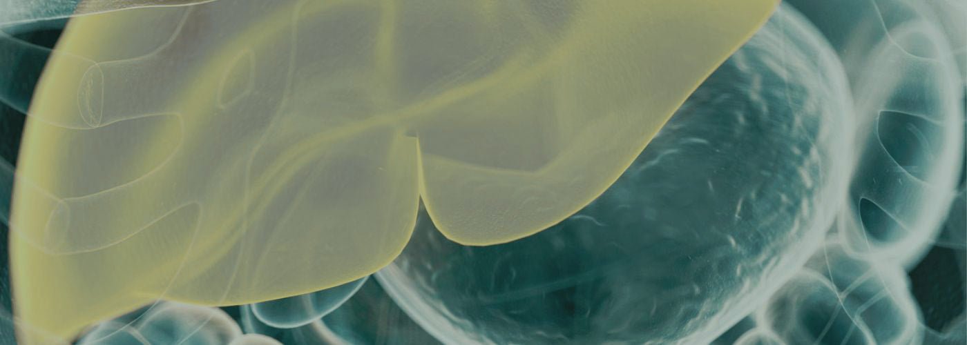 Tips en tricks voor een goede lever detox - Insentials