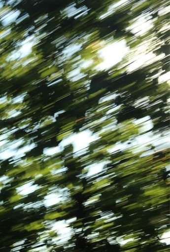 Energie & Immuniteit - Insentials