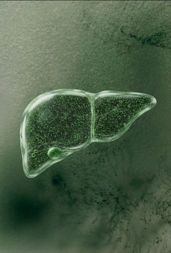 Detox & Liver - Insentials