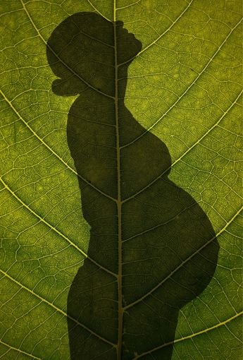 Zwangerschap - Insentials