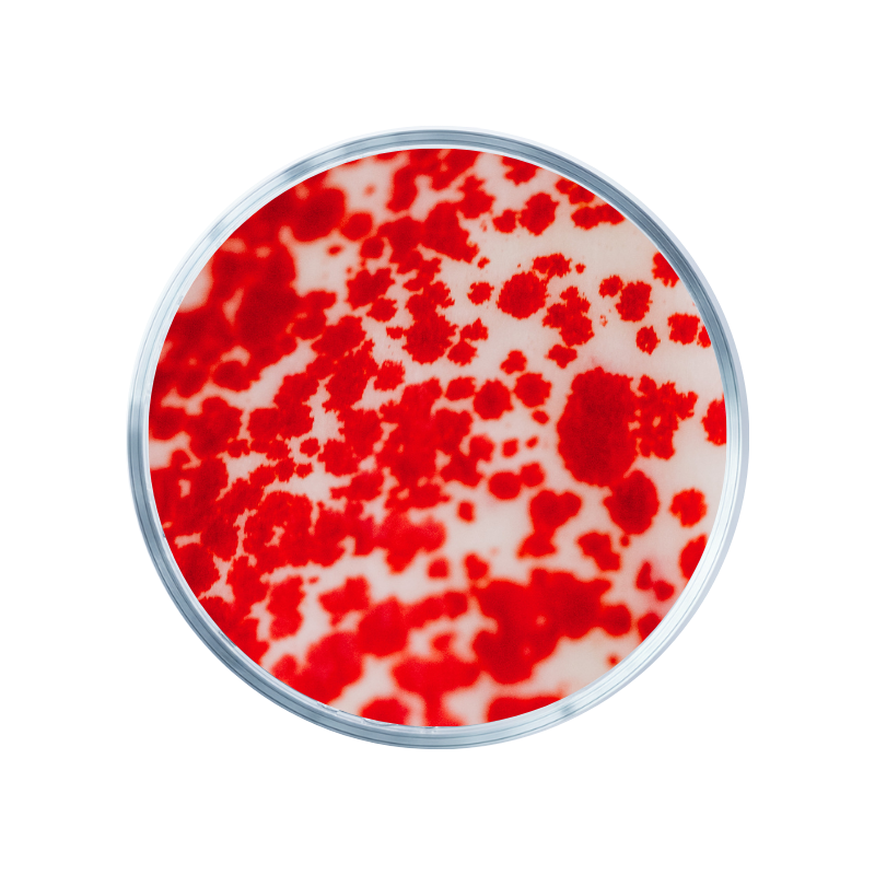 Astaxanthine