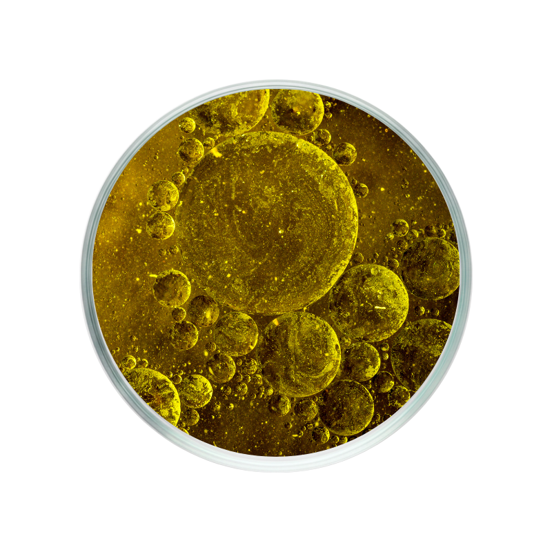 Docosahexaeenzuur (DHA) uit visolie