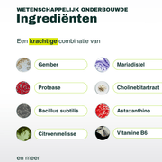 Gut Repair Day & Night Pack - Insentials