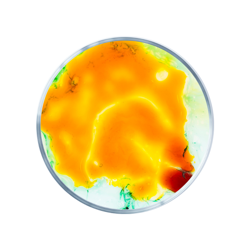 L'Extrait de Palmier Nain