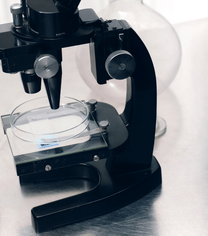 DNA - analyse: huid - , voeding - & vitaminerapport - Insentials