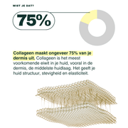 Smart Collagen 10g Shot - Insentials
