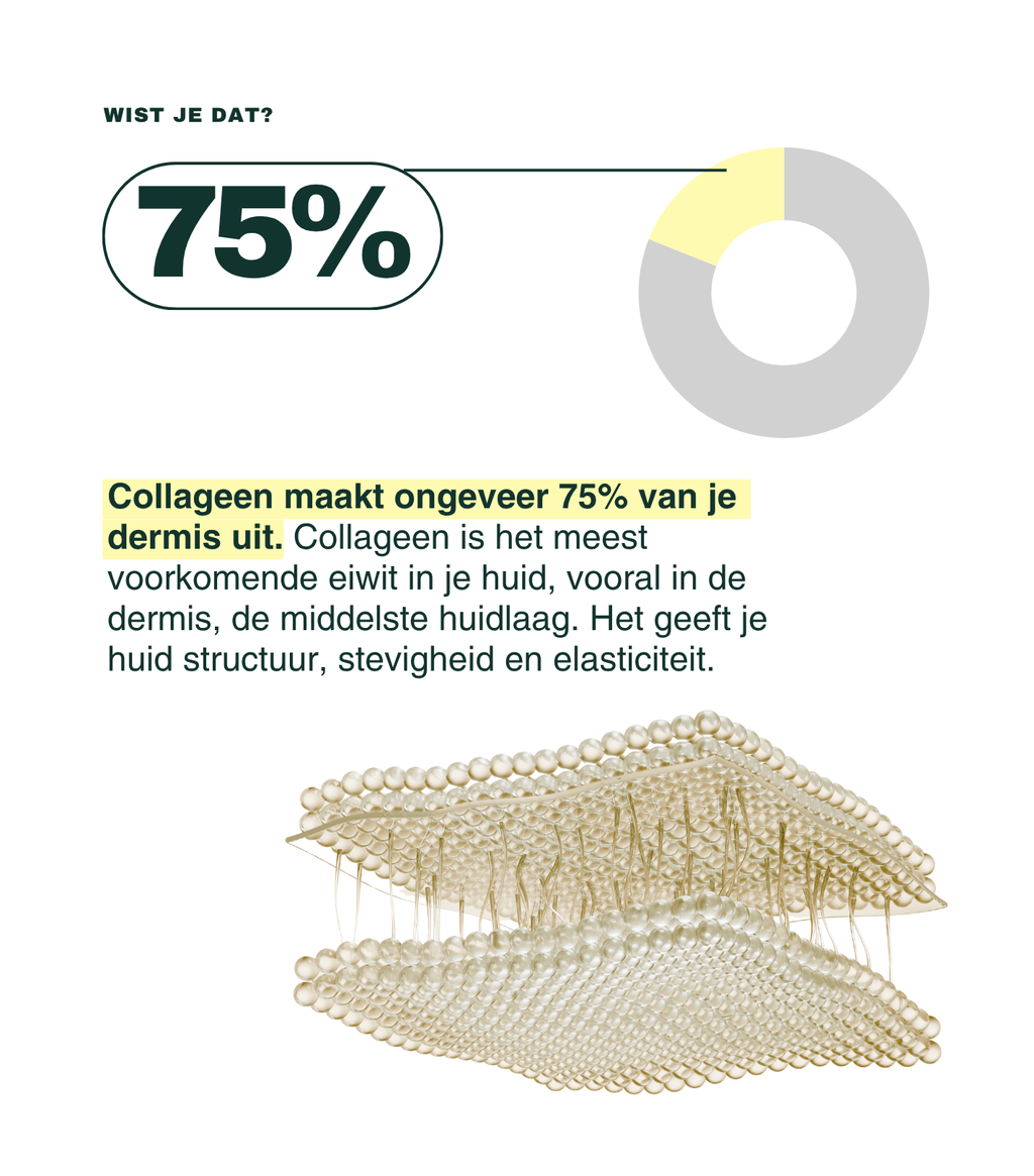 Smart Collagen 10g Shot - Insentials