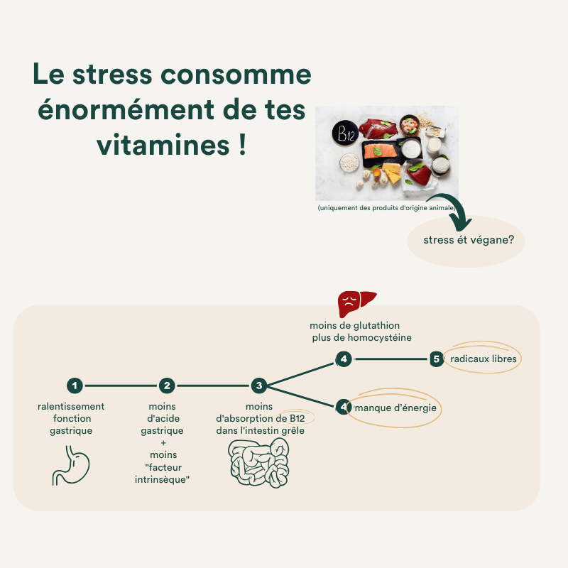 Blog masterclass Gut Brain Axis Masterclass 2