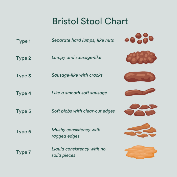 bristol stool chart consistentie stoelgang