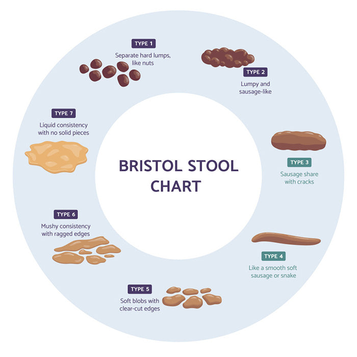 Stool Distribution Stoelgang bevorderen: tips voor een regelmatige ontlasting | Insentials