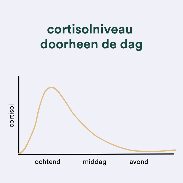 Cortisolniveau doorheen dag