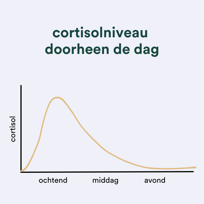 cortisolniveau doorheen dag insentials