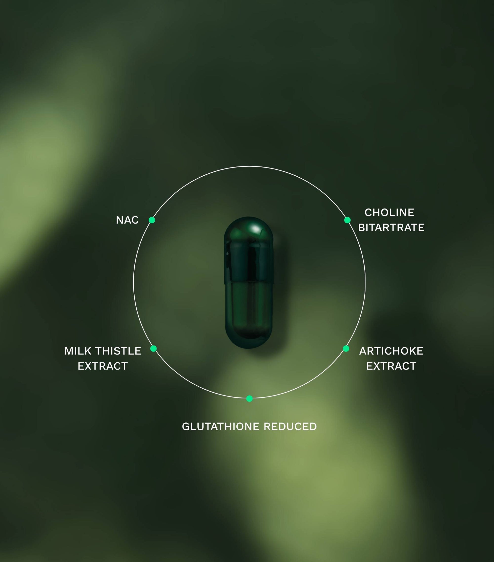 glutathione tekort symptomen NAC (N-Acetyl Cystene) Werking: Glutathion & Luchtwegen VeraSupplements NAC/Glutathion complex 100cp kopen?