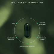 Duo Kit Detox Boost Jar & Navulzakje - Insentials