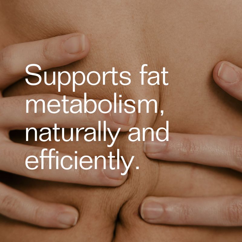 Fat Burner