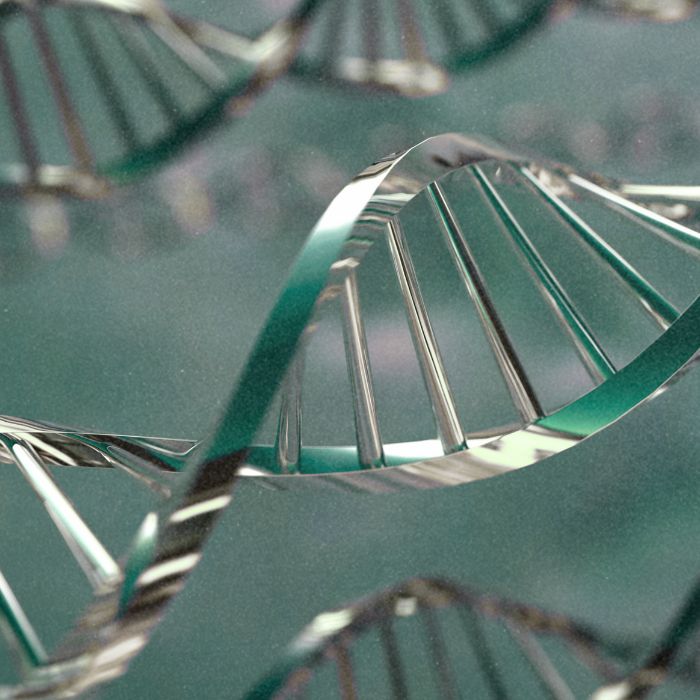 exosomen dna anti aging