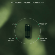 Routine 1 - 2 - 3 Fat Burner (Smart Weight Pack) - Insentials