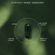 Duo Kit Fat Burner Jar & Navulzakje - Insentials