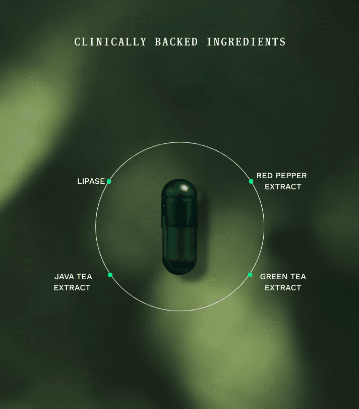 Duo Kit Fat Burner Jar & Navulzakje - Insentials