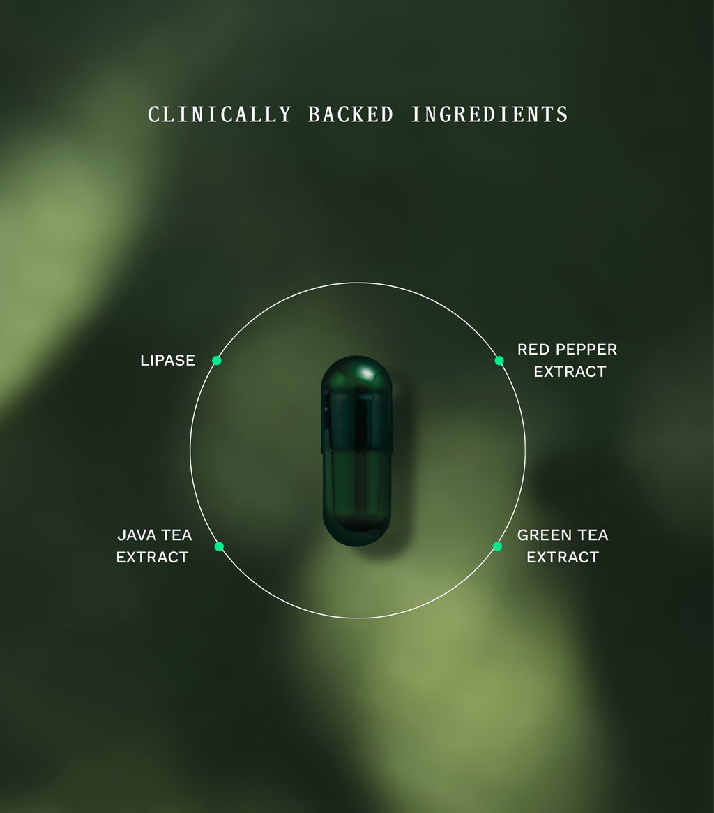 Fat Burner - Insentials
