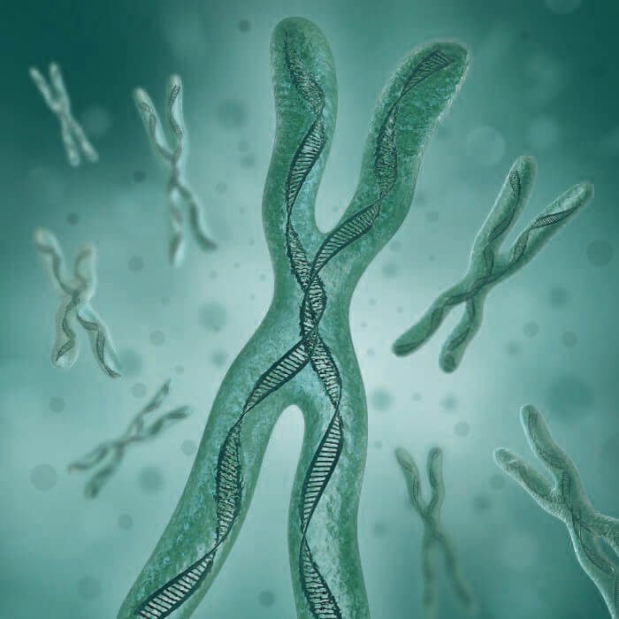 Genetische factoren haaruitval bij mannen