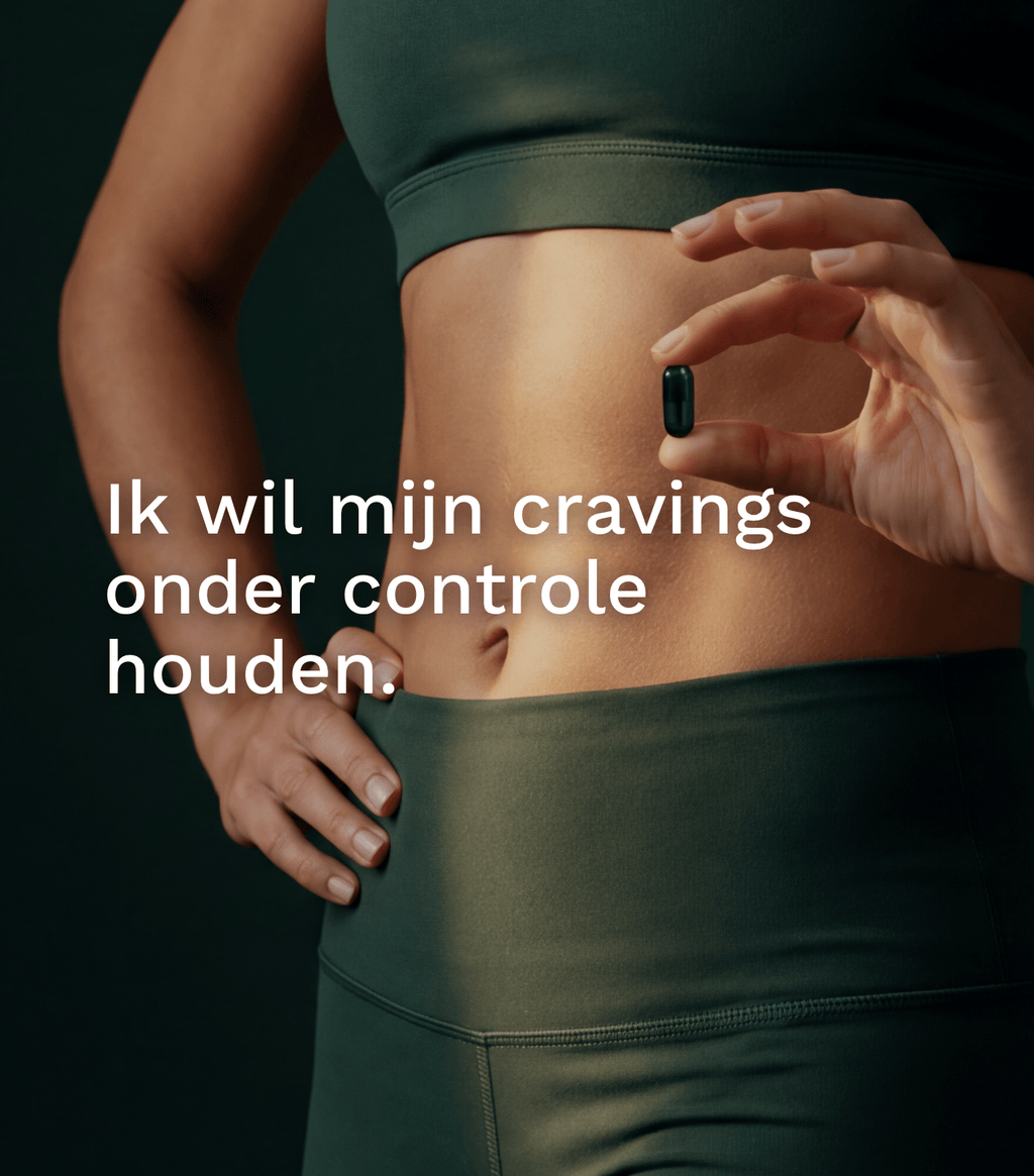 GLH - 2 - Insentials