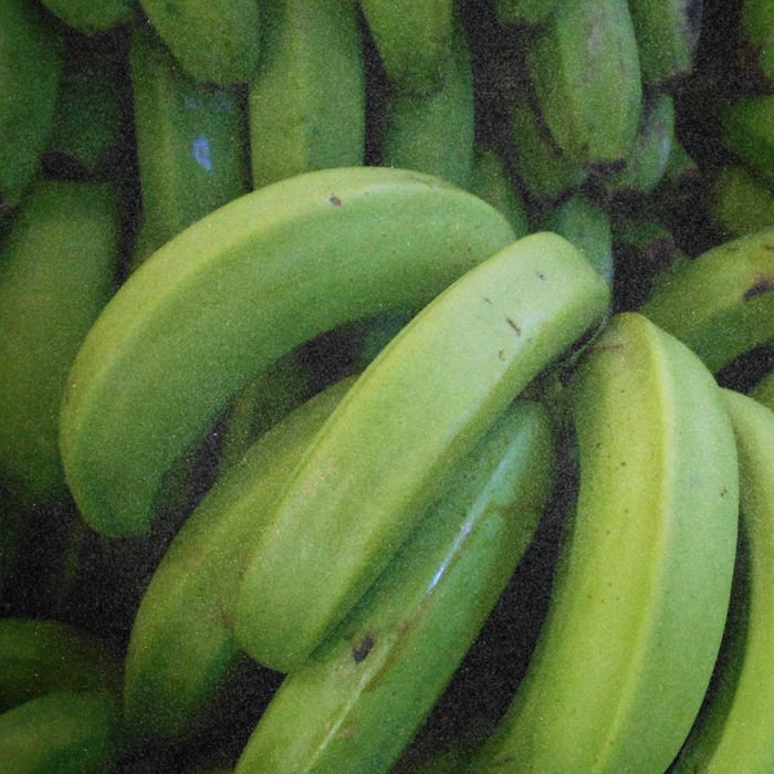 banane verte prébiotiques