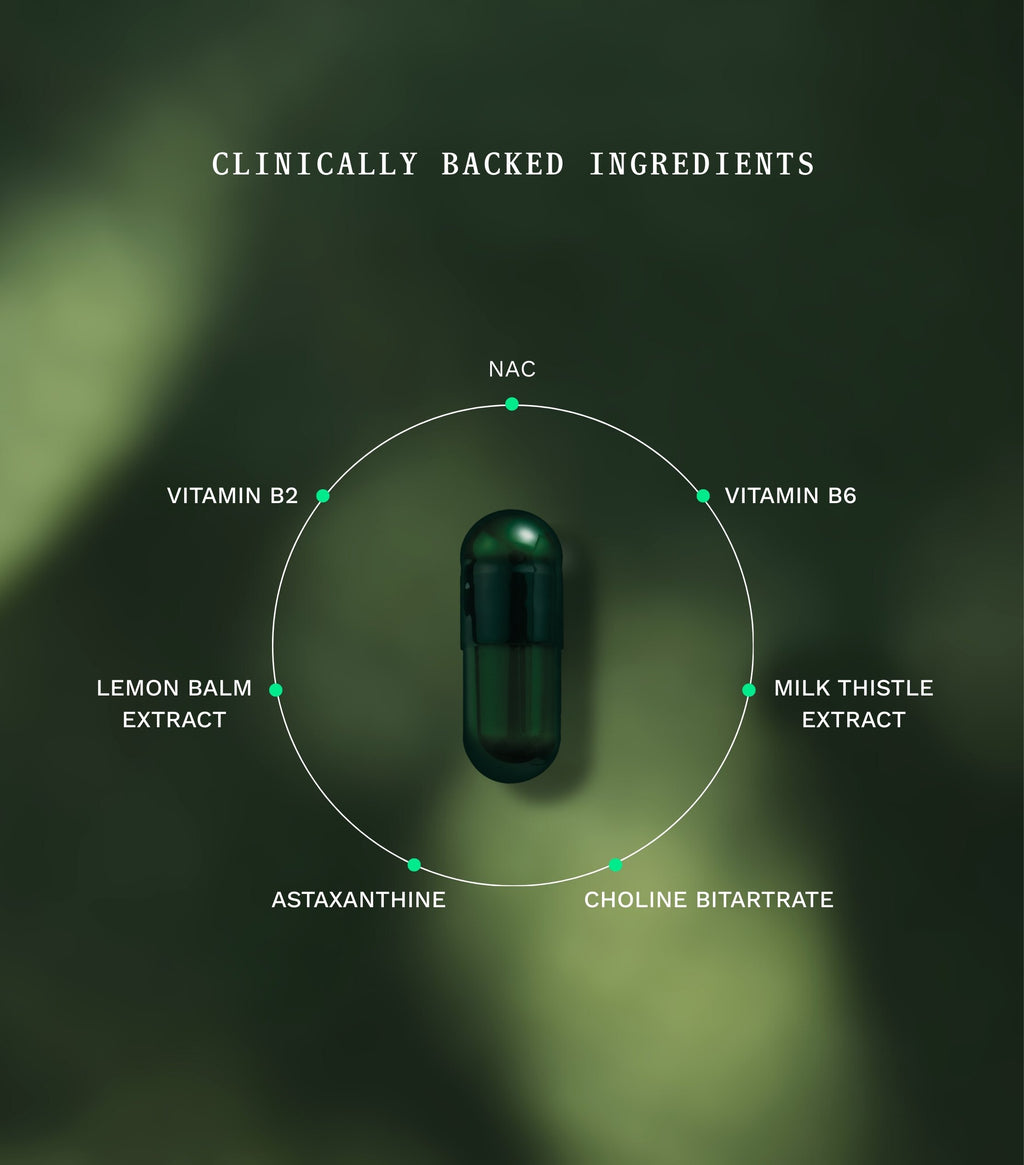 Gut Night - Insentials