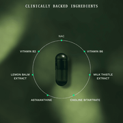 Duo Kit Gut Night Jar & Navulzakje - Insentials