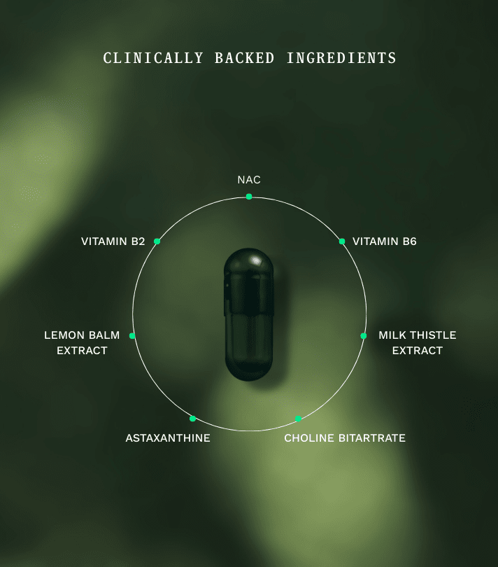 Duo Kit Gut Night Jar & Navulzakje - Insentials