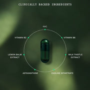 Gut Repair Day & Night - Insentials
