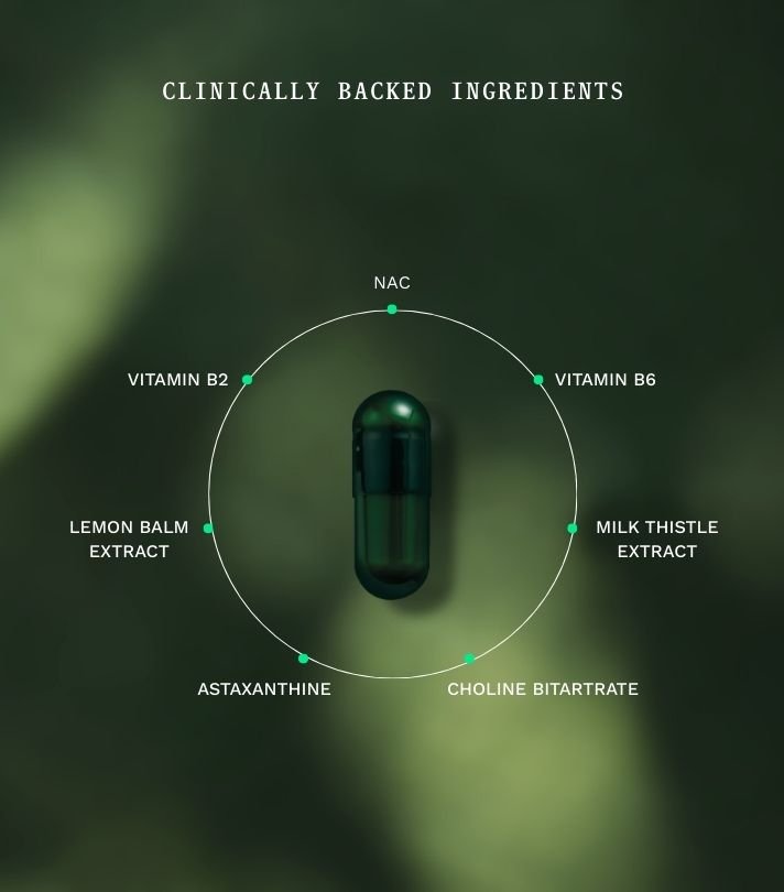 Gut Repair Day & Night - Insentials
