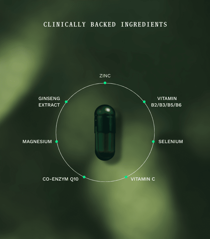 Duo Kit Immuniq - 10 Boost Jar & Navulzakje - Insentials