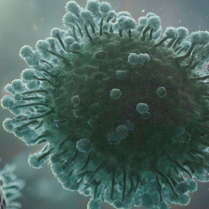 Immunity starts in liver