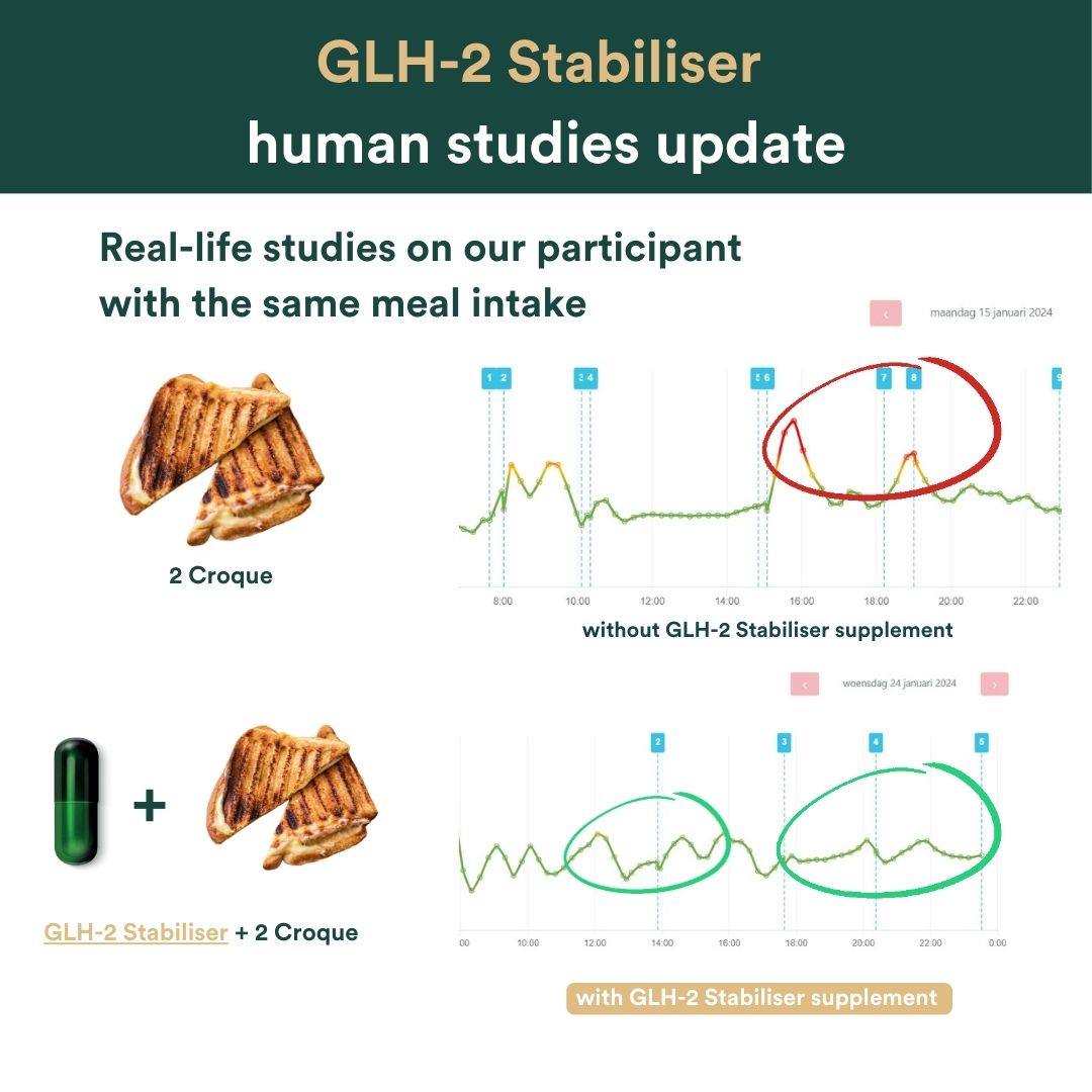 Insentials supplements GLH 2 Stabiliser human studie update