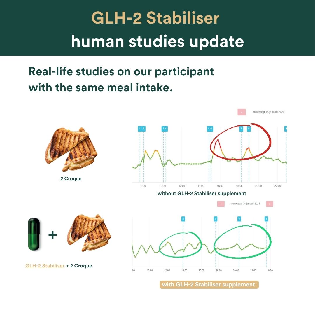 Insentials supplements GLH 2 studies resultaat bloedsuikerspiegel na eten croque
