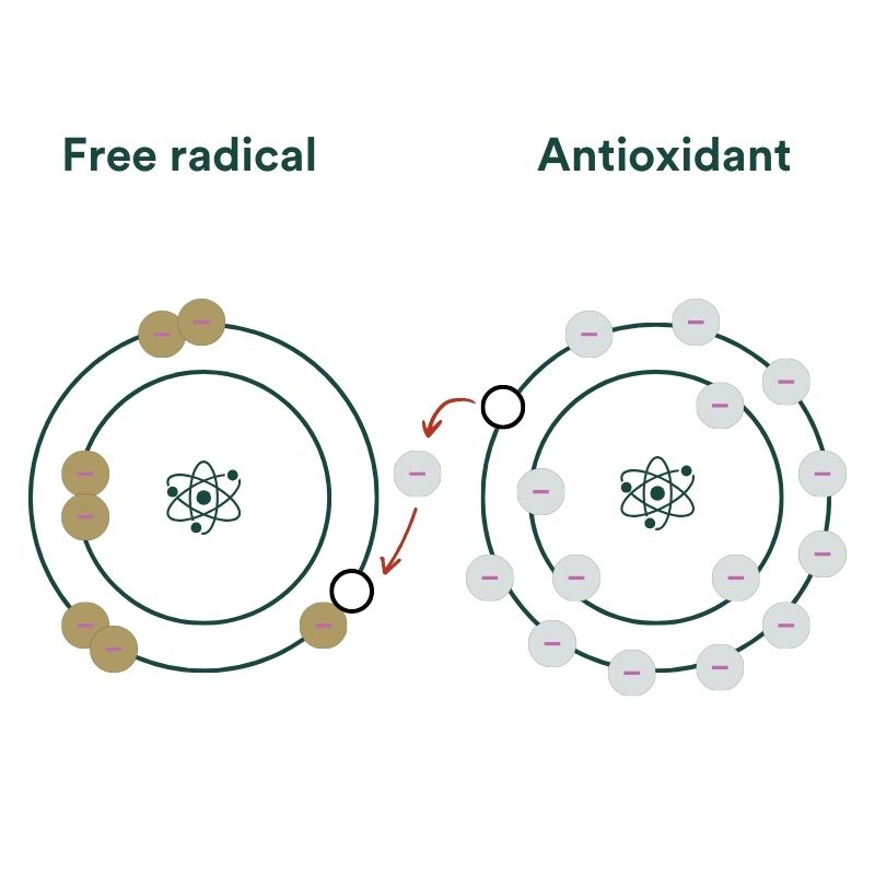 Insentials supplements co enzym q10 antioxidant
