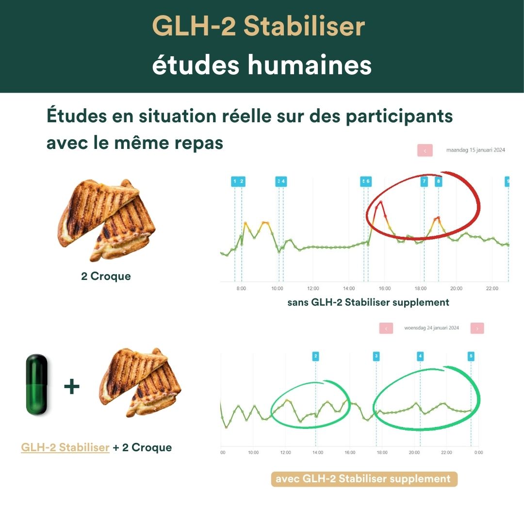 Insentials supplements glh 2 stabiliser etudes humaines