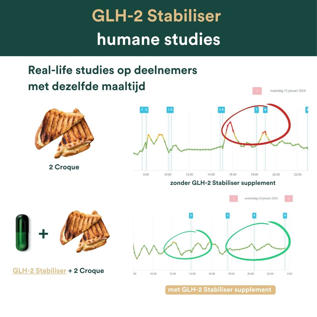 Supplements glh stabiliser studie