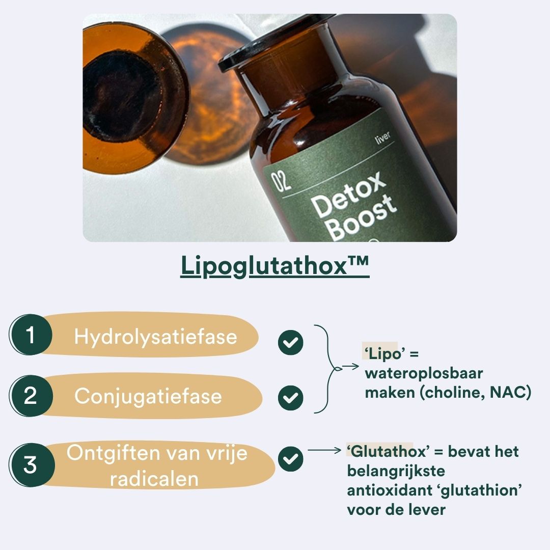Supplements lipoglutathox lever ontgiften fases