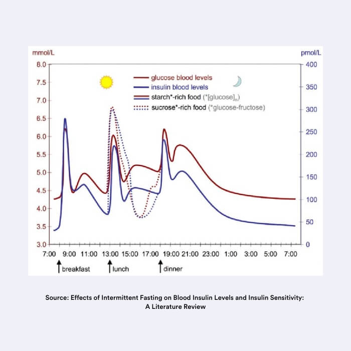 insulinegevoeligheid intermittent fasting insentials