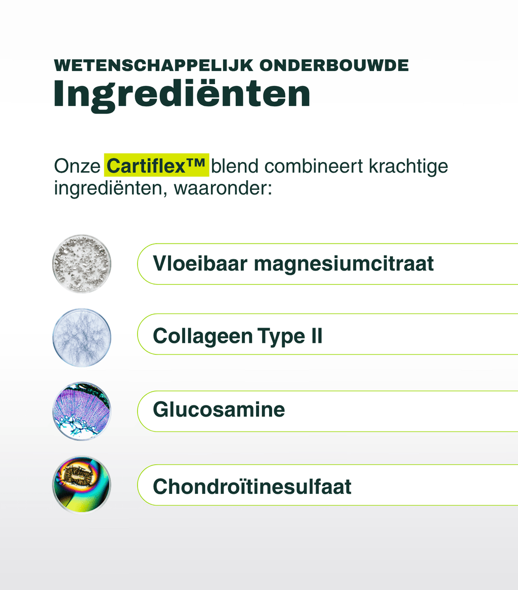 J-Magneflex II Shot - Insentials