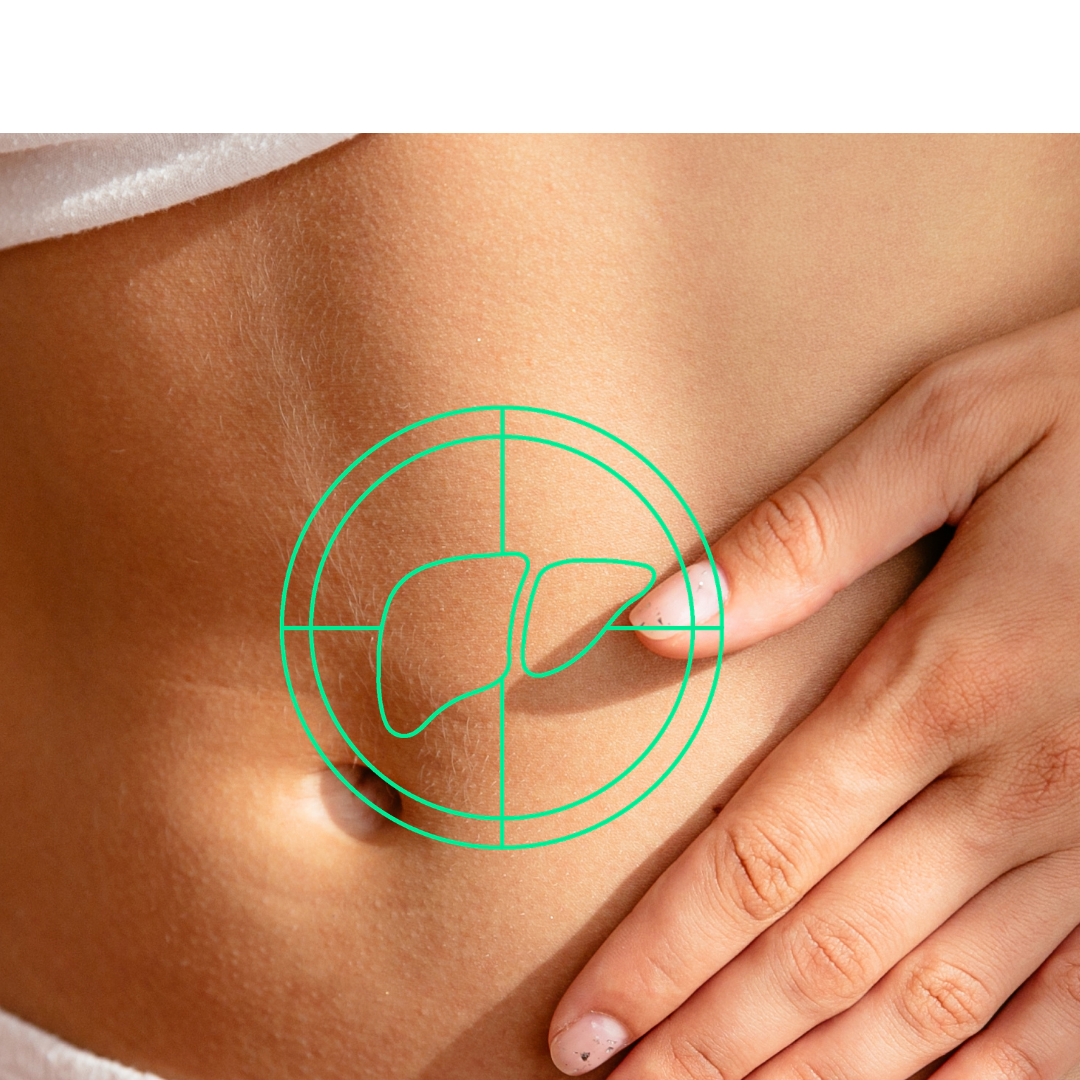 Lever vetmetabolisme