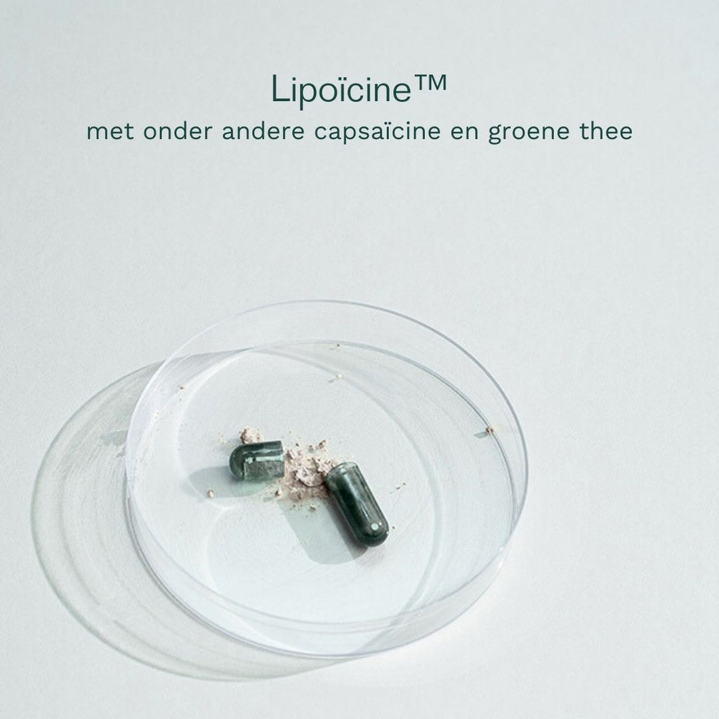 lipoicine groene thee capsaicine
